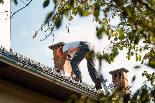 Steel Roofing in Trafalgar, IN