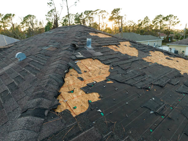 Skylights in Trafalgar, IN